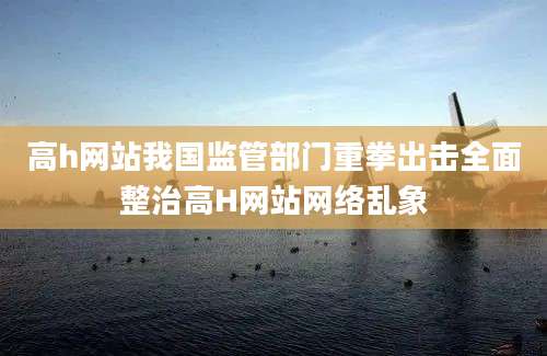 高h网站我国监管部门重拳出击全面整治高H网站网络乱象