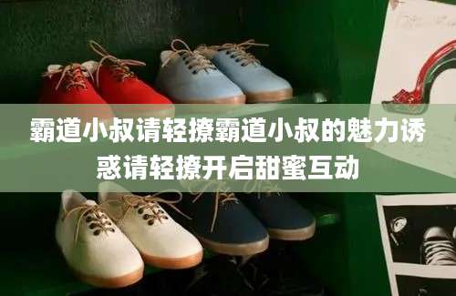 霸道小叔请轻撩霸道小叔的魅力诱惑请轻撩开启甜蜜互动