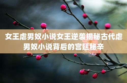 女王虐男奴小说女王逆袭揭秘古代虐男奴小说背后的宫廷秘辛