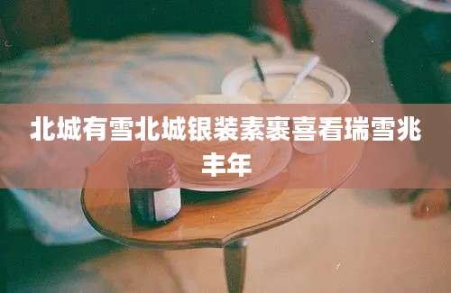 北城有雪北城银装素裹喜看瑞雪兆丰年