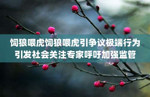 饲狼喂虎饲狼喂虎引争议极端行为引发社会关注专家呼吁加强监管
