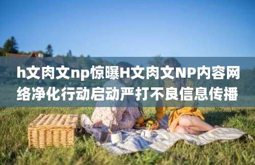 h文肉文np惊曝H文肉文NP内容网络净化行动启动严打不良信息传播