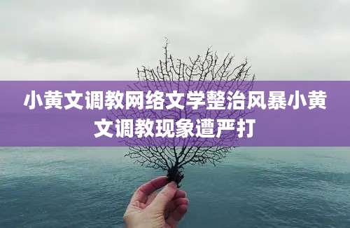 小黄文调教网络文学整治风暴小黄文调教现象遭严打