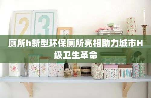 厕所h新型环保厕所亮相助力城市H级卫生革命