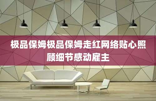 极品保姆极品保姆走红网络贴心照顾细节感动雇主
