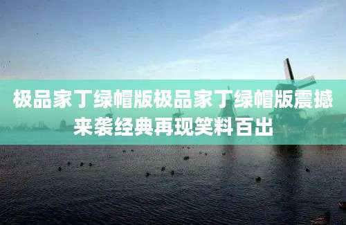 极品家丁绿帽版极品家丁绿帽版震撼来袭经典再现笑料百出
