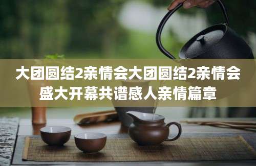 大团圆结2亲情会大团圆结2亲情会盛大开幕共谱感人亲情篇章