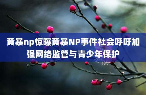 黄暴np惊曝黄暴NP事件社会呼吁加强网络监管与青少年保护