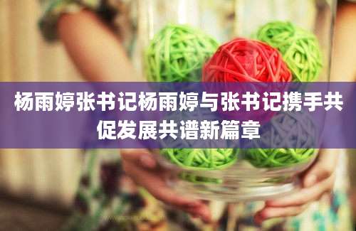 杨雨婷张书记杨雨婷与张书记携手共促发展共谱新篇章