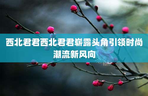 西北君君西北君君崭露头角引领时尚潮流新风向