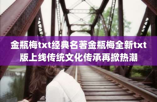 金瓶梅txt经典名著金瓶梅全新txt版上线传统文化传承再掀热潮
