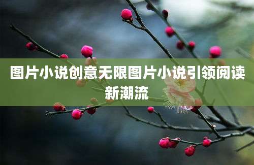 图片小说创意无限图片小说引领阅读新潮流
