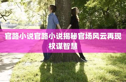 官路小说官路小说揭秘官场风云再现权谋智慧