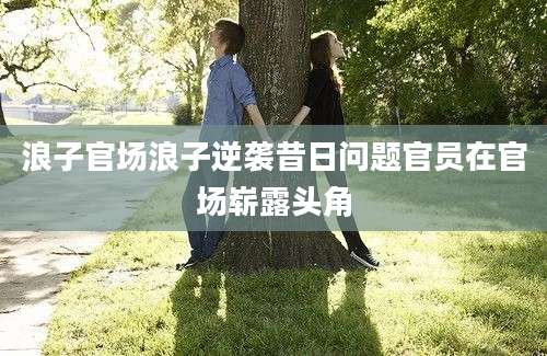 浪子官场浪子逆袭昔日问题官员在官场崭露头角