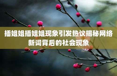 插姐姐插姐姐现象引发热议揭秘网络新词背后的社会现象