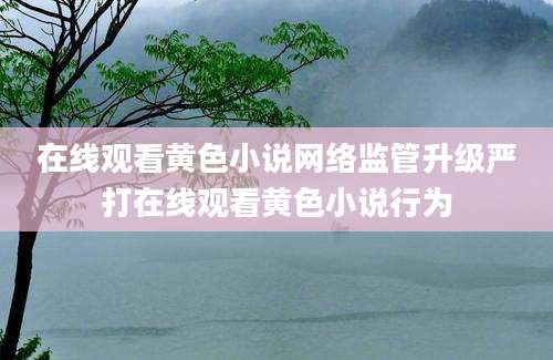 在线观看黄色小说网络监管升级严打在线观看黄色小说行为