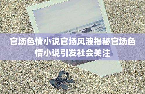 官场色情小说官场风波揭秘官场色情小说引发社会关注