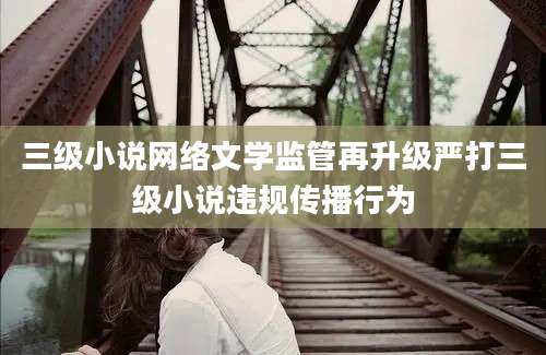 三级小说网络文学监管再升级严打三级小说违规传播行为