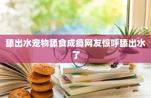 舔出水宠物舔食成瘾网友惊呼舔出水了