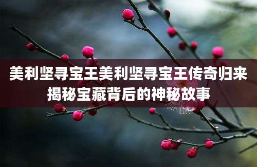 美利坚寻宝王美利坚寻宝王传奇归来揭秘宝藏背后的神秘故事