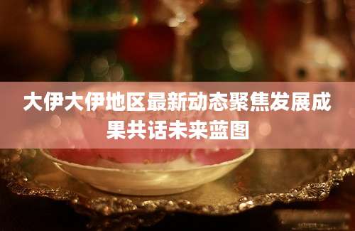 大伊大伊地区最新动态聚焦发展成果共话未来蓝图