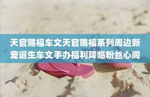 天官赐福车文天官赐福系列周边新宠诞生车文手办福利降临粉丝心间