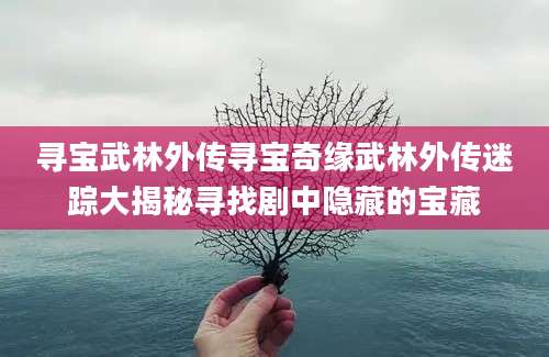 寻宝武林外传寻宝奇缘武林外传迷踪大揭秘寻找剧中隐藏的宝藏