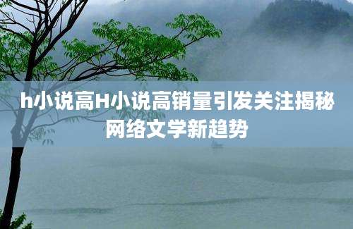 h小说高H小说高销量引发关注揭秘网络文学新趋势