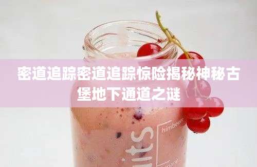 密道追踪密道追踪惊险揭秘神秘古堡地下通道之谜