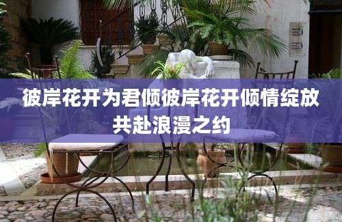 彼岸花开为君倾彼岸花开倾情绽放共赴浪漫之约