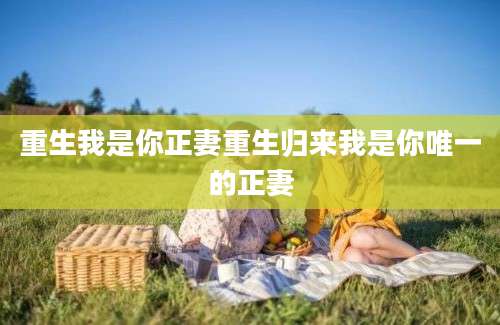 重生我是你正妻重生归来我是你唯一的正妻