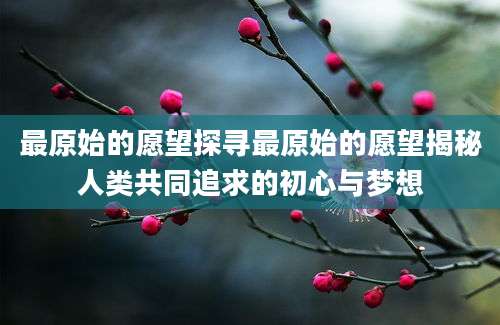 最原始的愿望探寻最原始的愿望揭秘人类共同追求的初心与梦想