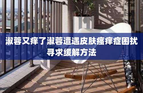 淑蓉又痒了淑蓉遭遇皮肤瘙痒症困扰寻求缓解方法