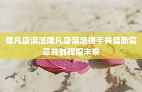 陆凡唐浣溪陆凡唐浣溪携手共谱新篇章共创辉煌未来