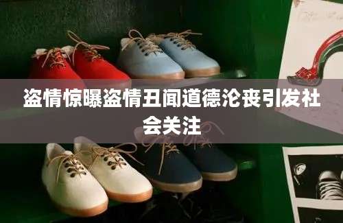 盗情惊曝盗情丑闻道德沦丧引发社会关注
