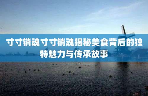 寸寸销魂寸寸销魂揭秘美食背后的独特魅力与传承故事
