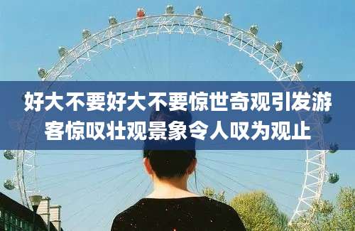 好大不要好大不要惊世奇观引发游客惊叹壮观景象令人叹为观止