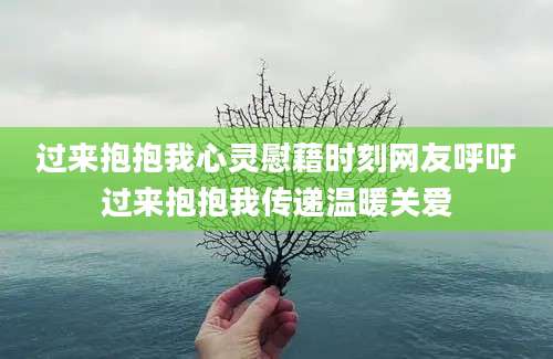 过来抱抱我心灵慰藉时刻网友呼吁过来抱抱我传递温暖关爱