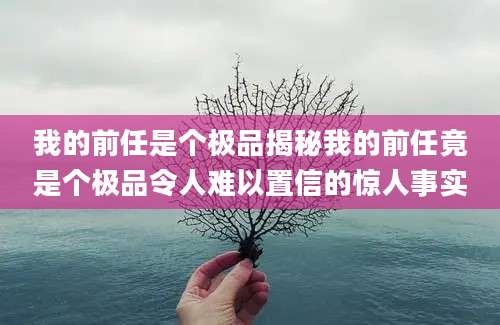 我的前任是个极品揭秘我的前任竟是个极品令人难以置信的惊人事实