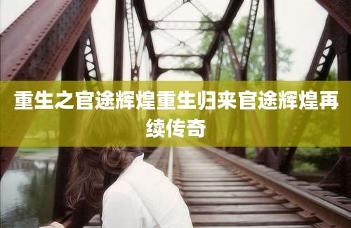 重生之官途辉煌重生归来官途辉煌再续传奇