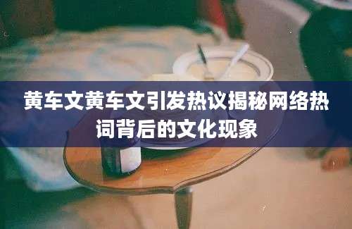 黄车文黄车文引发热议揭秘网络热词背后的文化现象