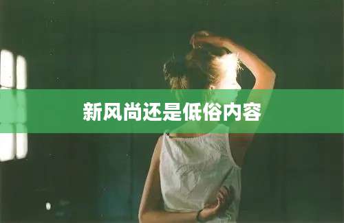 新风尚还是低俗内容