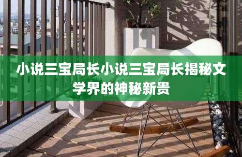 小说三宝局长小说三宝局长揭秘文学界的神秘新贵