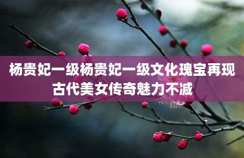 杨贵妃一级杨贵妃一级文化瑰宝再现古代美女传奇魅力不减