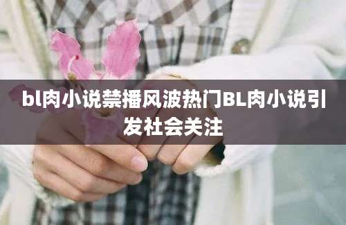 bl肉小说禁播风波热门BL肉小说引发社会关注