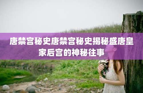 唐禁宫秘史唐禁宫秘史揭秘盛唐皇家后宫的神秘往事