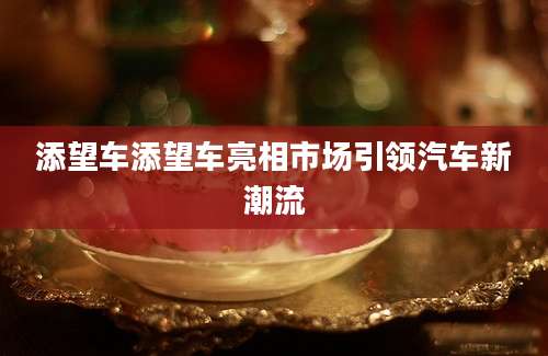 添望车添望车亮相市场引领汽车新潮流