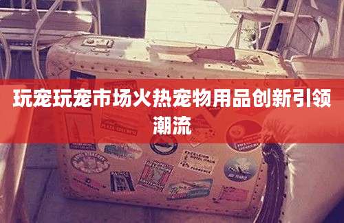 玩宠玩宠市场火热宠物用品创新引领潮流