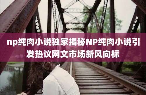 np纯肉小说独家揭秘NP纯肉小说引发热议网文市场新风向标