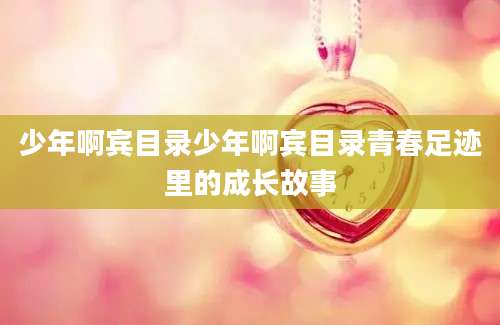 少年啊宾目录少年啊宾目录青春足迹里的成长故事